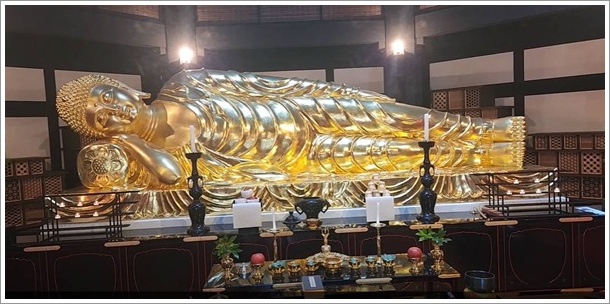 �����̟��ϑ�