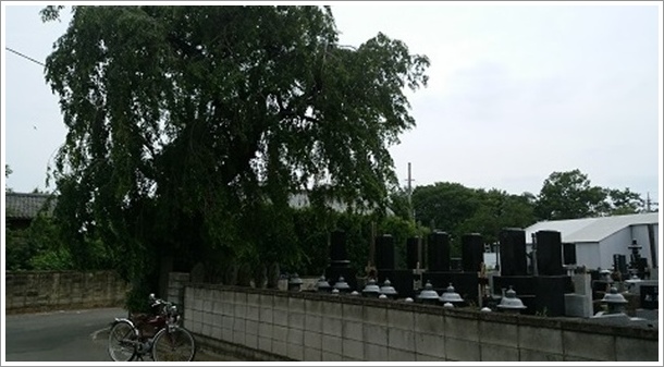 �D�Ó`�����̂���