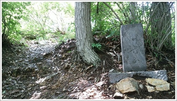 �x�m�R�㍇��