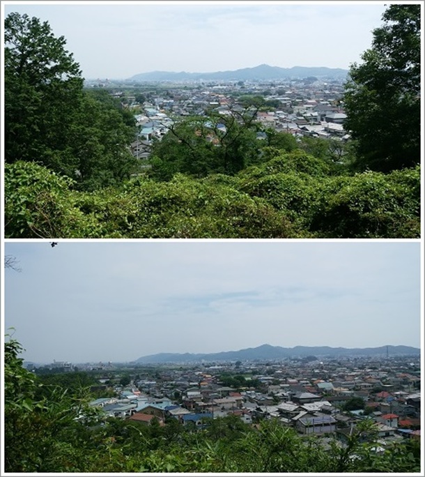 �x�m�R�����炵�䂩��̌i�F