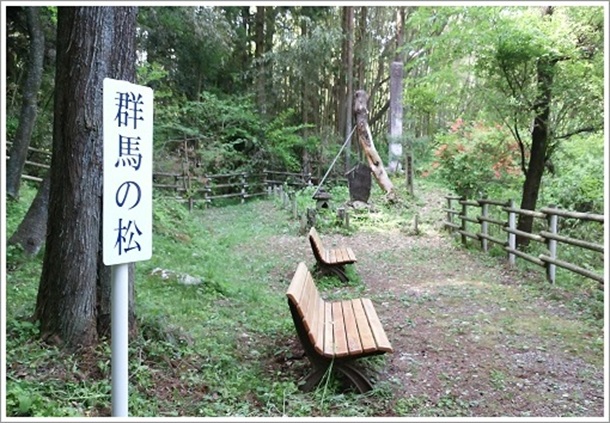 �x���`�ƌQ�n�̏�