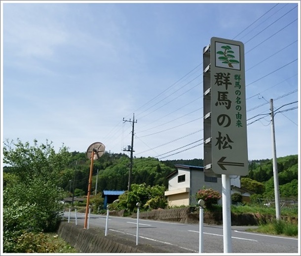 �Q�n�̖��̗R���Ŕ�