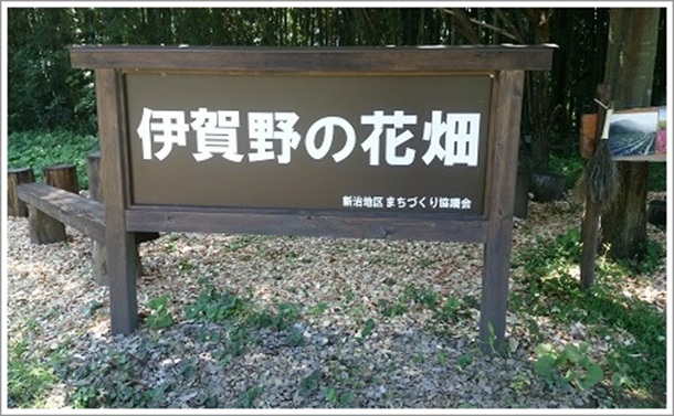 �ɉ��̉Ԕ��Ŕi�܂��Â��苦�c��j