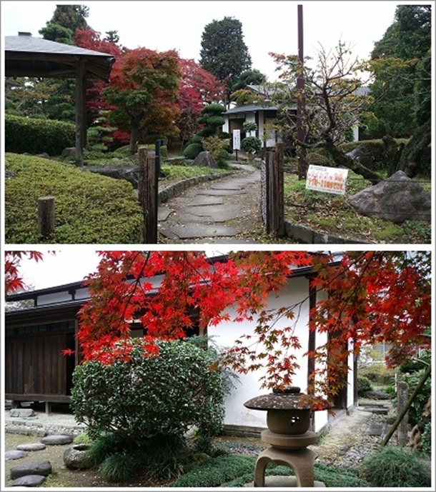 �������猩�������c�@���@�̒뉀