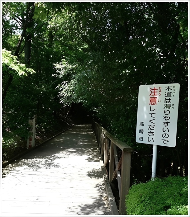 ���蔒�ߑ�ω��ɑ����V����