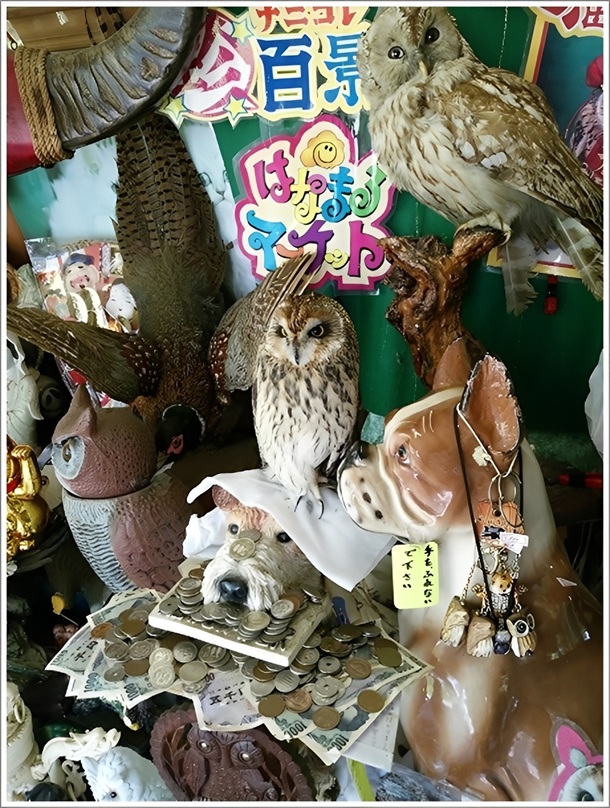 ���蔒�ߑ�ω��Q���̓y�Y��