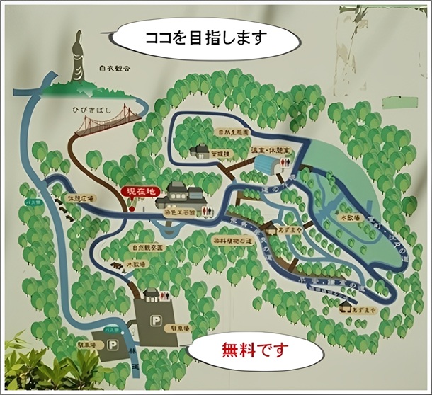 ���蔒�ߑ�ω��̈ē��Ŕ�