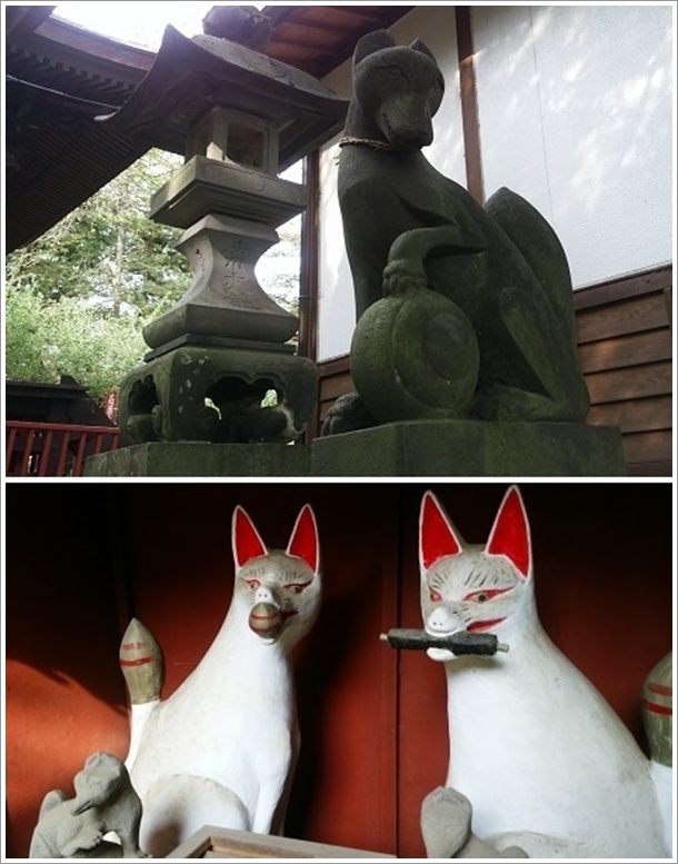 ���g����L�c�l