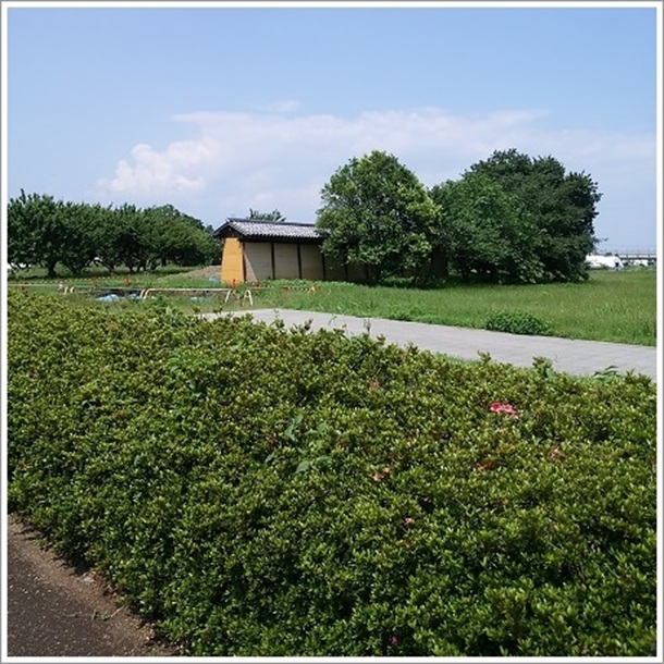 高崎市の上野国分寺跡(国指定史跡)