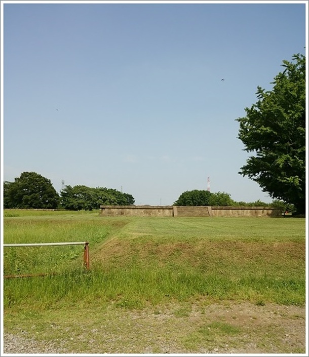 高崎市の上野国分寺跡(七重の塔跡)