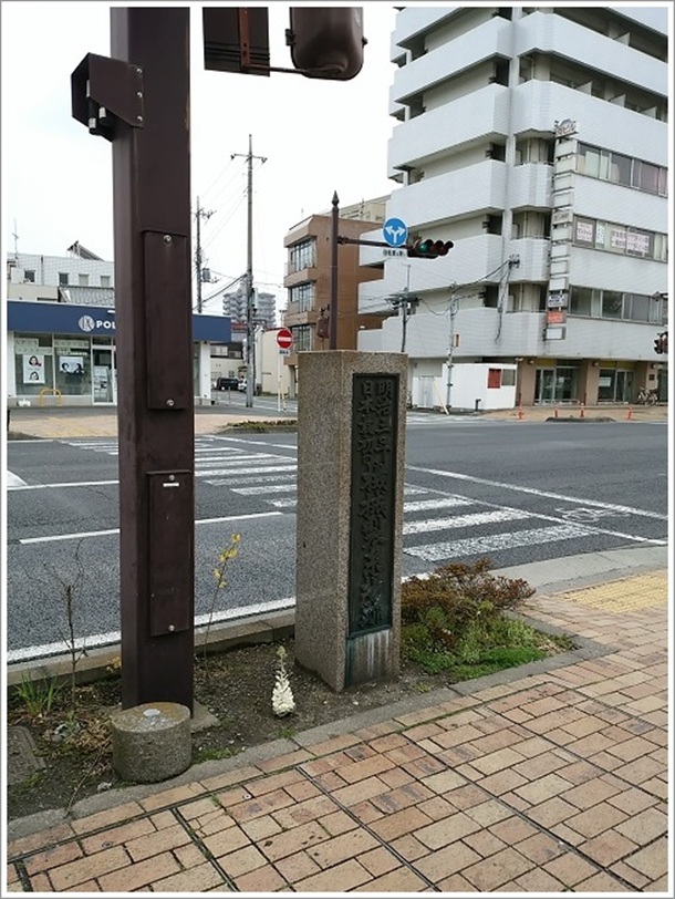 �Z�g��1���ڌ����_