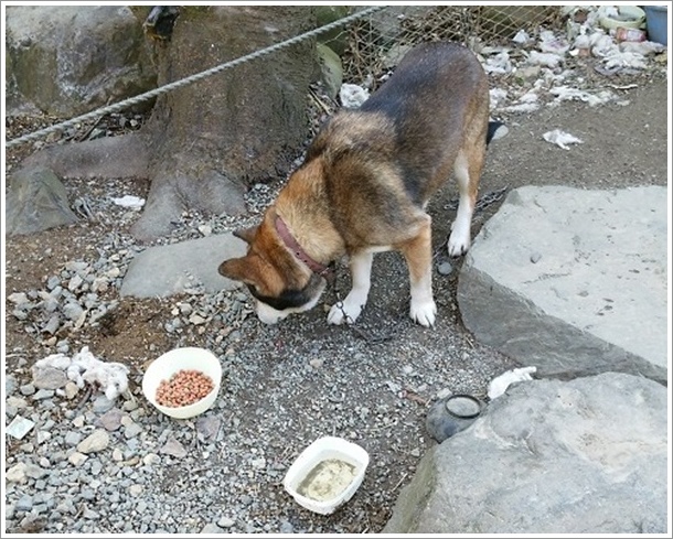 �۔������̋@�R�[�i�[�Ŕ�