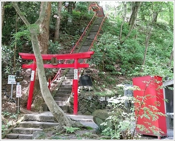 ����ω��̔ѓ�匠���i�����ÂȂ������񂰂�j