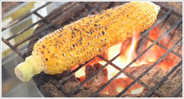 �Y�΂Ƃ����낱���̌b��