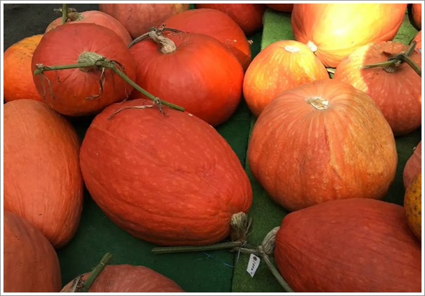 �V�N�Ȕ_�Y���J�{�`��