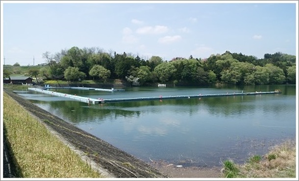 ����s���c�킩�����ނ��̖��