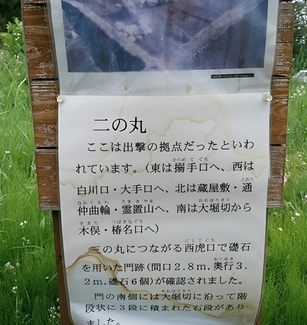 �������i��̊ہj