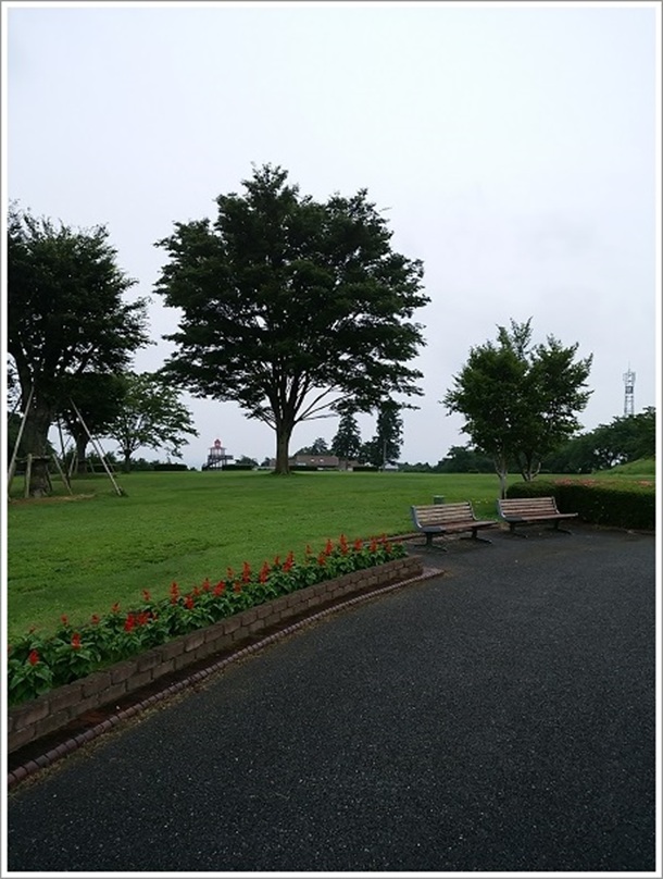 ��ӂ���[��ӂ��[�q��̎��R�Ȍi�F