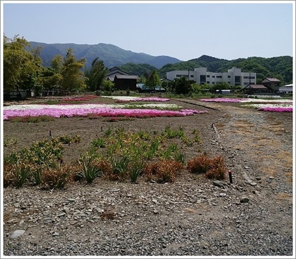 �����H�߂��̑�^���ԏ�i�����j