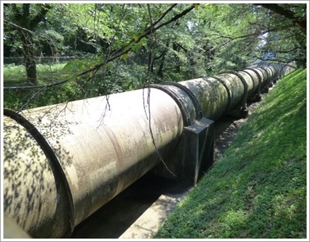 �����S��