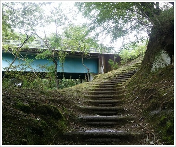 ��l�B��ɒʂ���K�i�i���m���񍆋��j