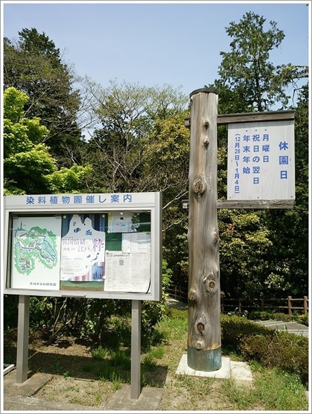 高崎市染料植物園