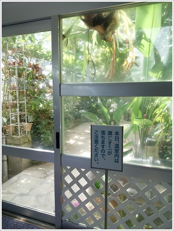 温室(高崎市染料植物園)