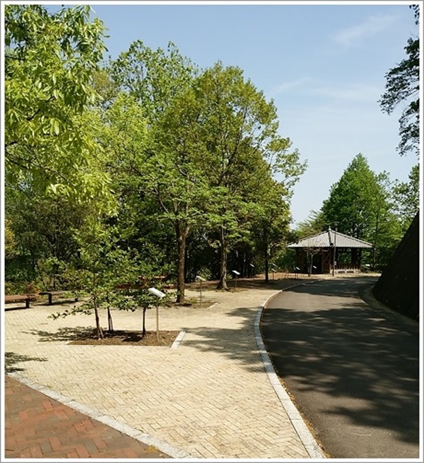 高崎市染料植物園あずまや