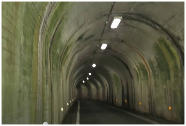 �����_���g���l������