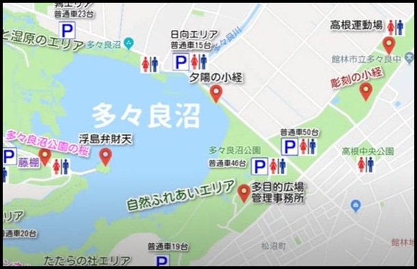 ���X�Ǐ��ē���