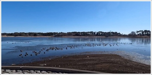 ���X�Ǐ��J��