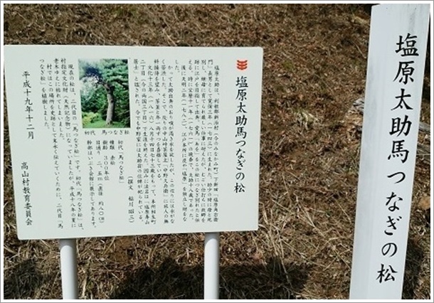 江戸への別れ馬つなぎの松案内板