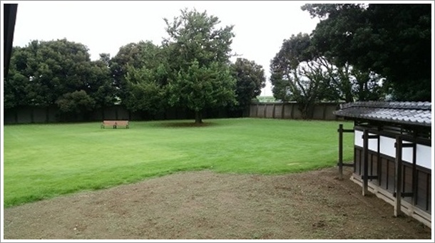 3000�������̒납�猩�������m�v���@