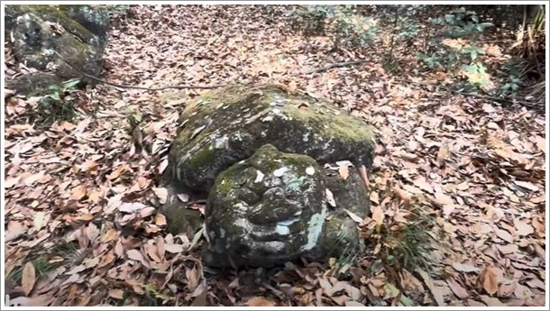 �����̐Α�