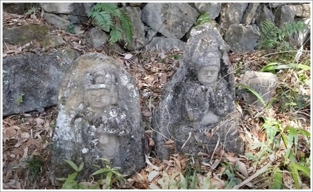 �O�\�O�ω�