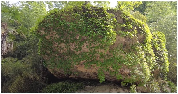 �������V���