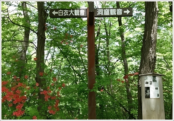 ���蔒�ߑ�ω��Ɠ��A�ω��̕����ꓹ