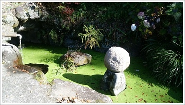 �r�̖�t���S��