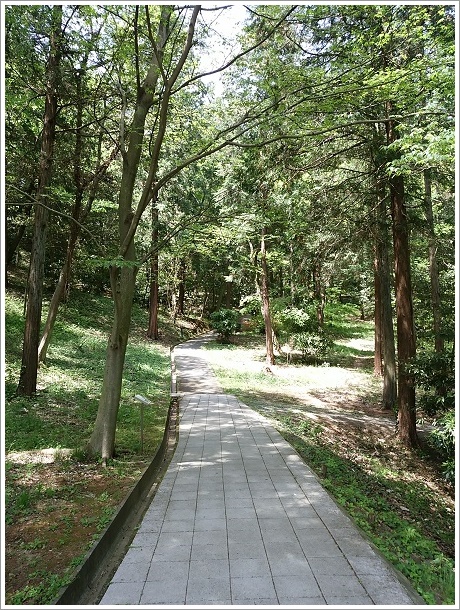 ちゃんと整備されている高崎市染料植物園に続く遊歩道
