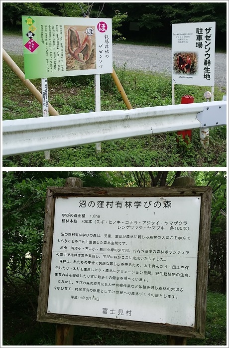 ザゼンソウ群生地駐車場