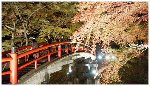 ライトアップは河鹿橋の上