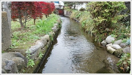 上芝の共同水車に流れる川