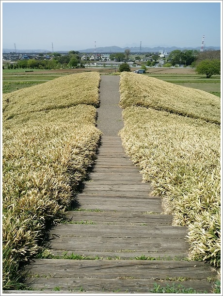二子山古墳から見た景色