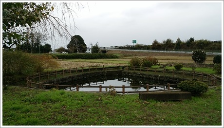 伊勢崎市三和町の湧水あまが池