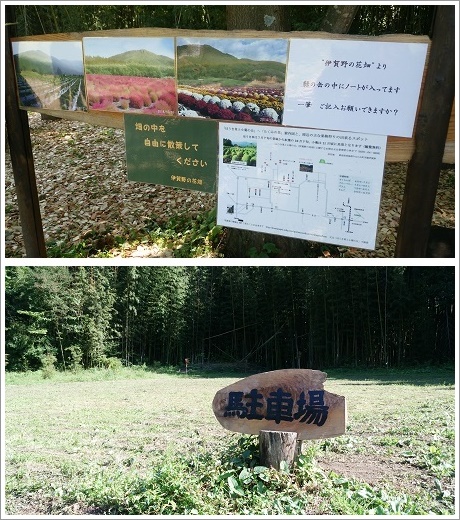 伊賀野の花畑は無料駐車場も完備しています