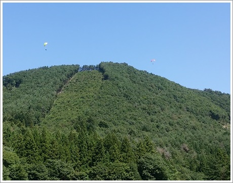 伊賀野の花畑上空にフライトしているパラグライダー