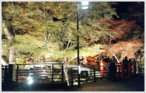 伊香保温泉湯元「河鹿橋のライトアップ紅葉」