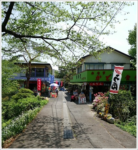 参道のお土産屋さんです