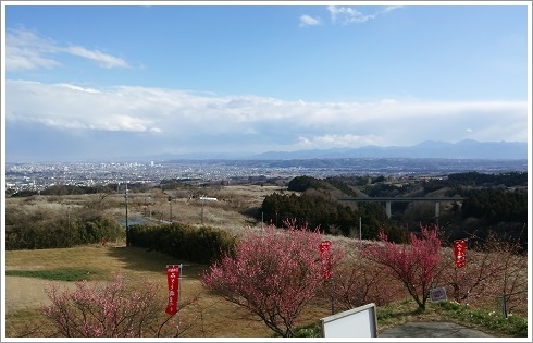 善地展望台から見えた関東平野の景色