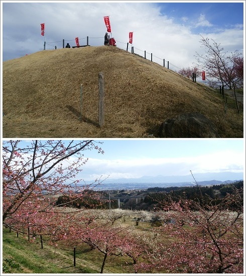 善地展望台と梅林の景色